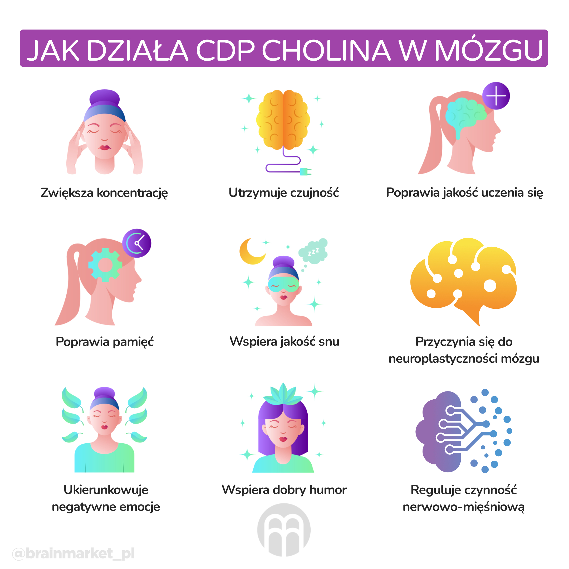 co v mozku ridi acetylcholin_infografika_pl